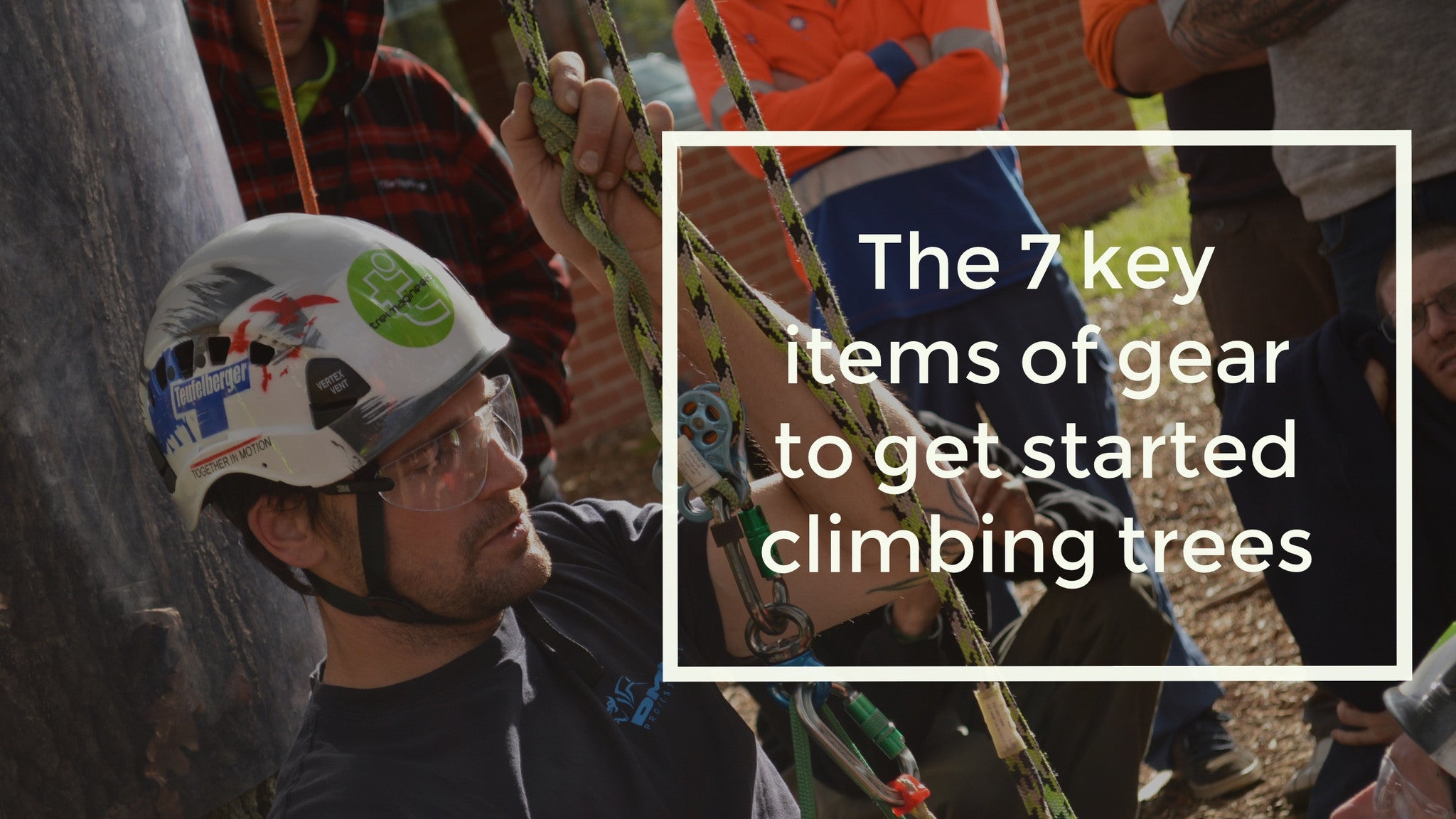 New to Tree Climbing? Here's the 7 key items of gear you need to get s -  Treegear