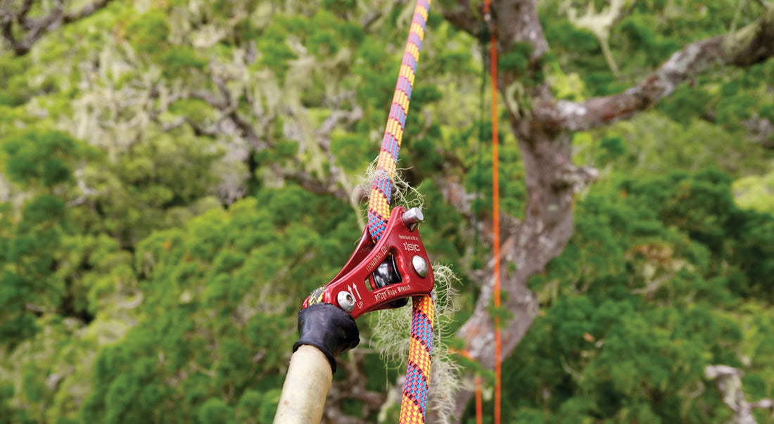 Tree Climbing Gear | Height Access | Arborist Equipment | Treegear