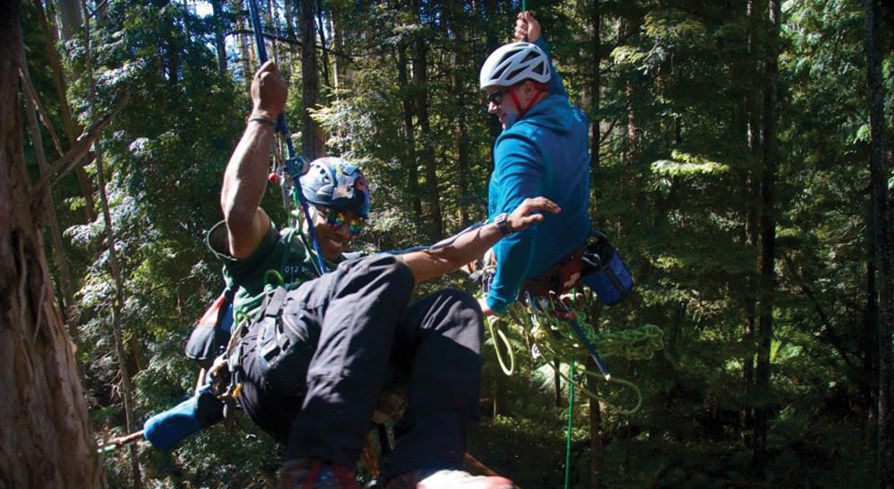 Tree Climbing Gear, Height Access, Arborist Equipment