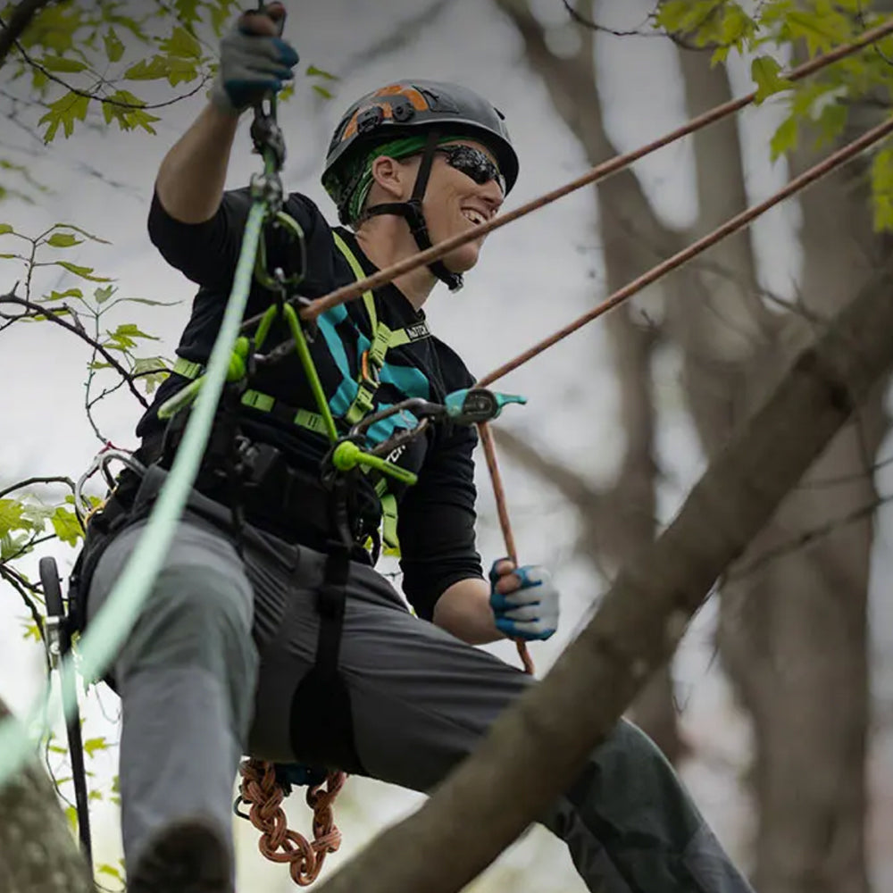 Notch Glide Rope Grab - Treegear