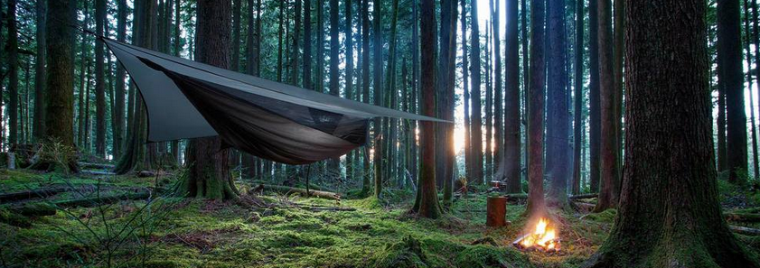 News | Videos | Events