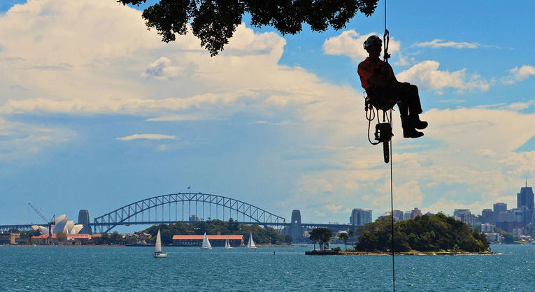 Tree Climbing Gear | Height Access | Arborist Equipment | Treegear