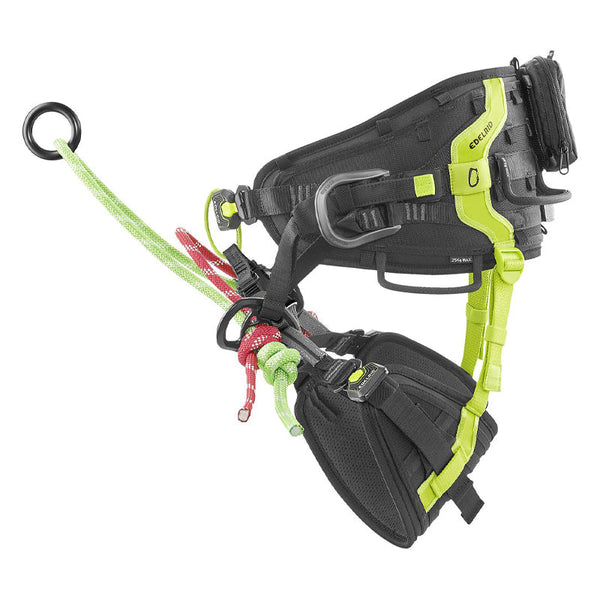 Edelrid TreeRex Arborist Harness - Treegear